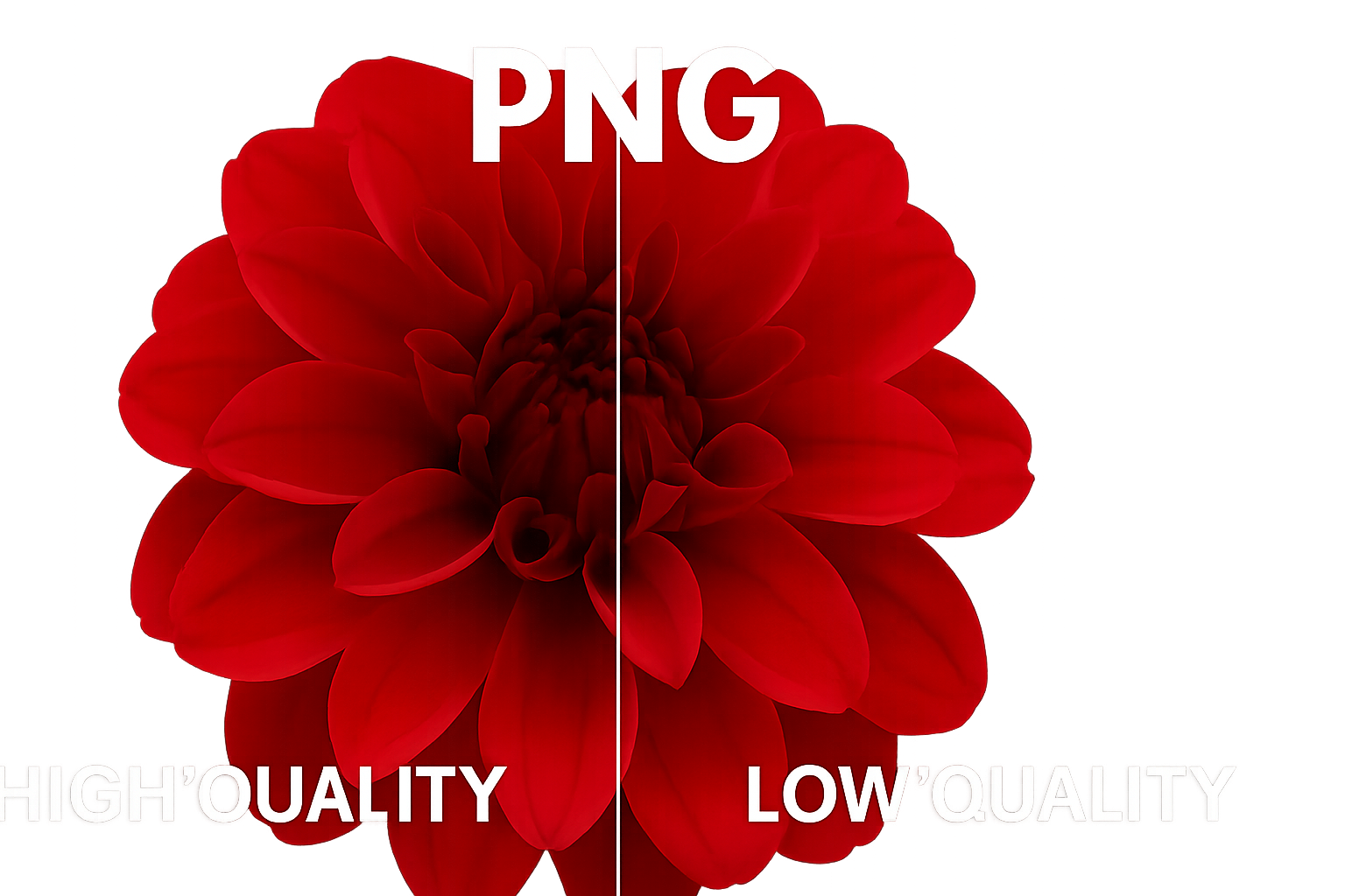 PNG with transparent background